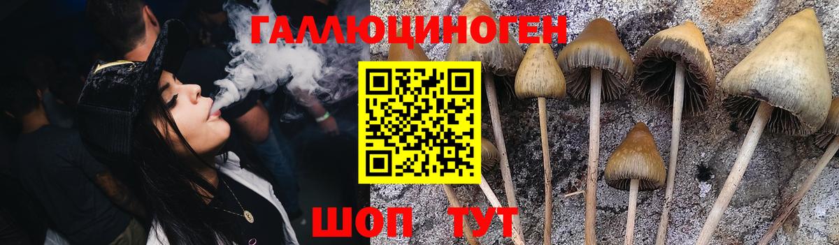 Красный Сулин  Галлюциногенные грибы Psilocybe  Вход с VPN  Псилоцибиновые грибы Magic Shrooms 